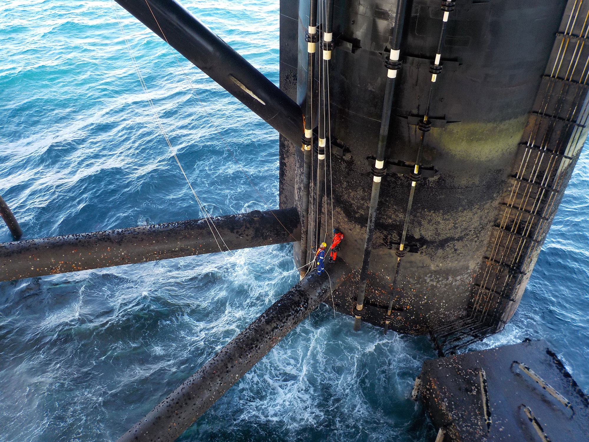 You are currently viewing Pic of the week